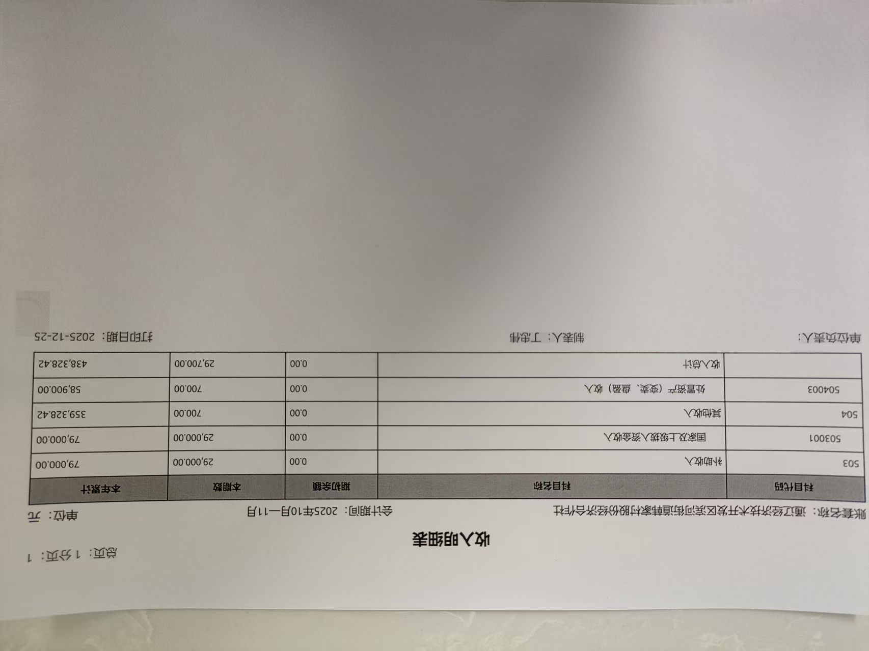 收入明细表.jpg